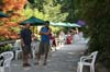 fwa2010_045